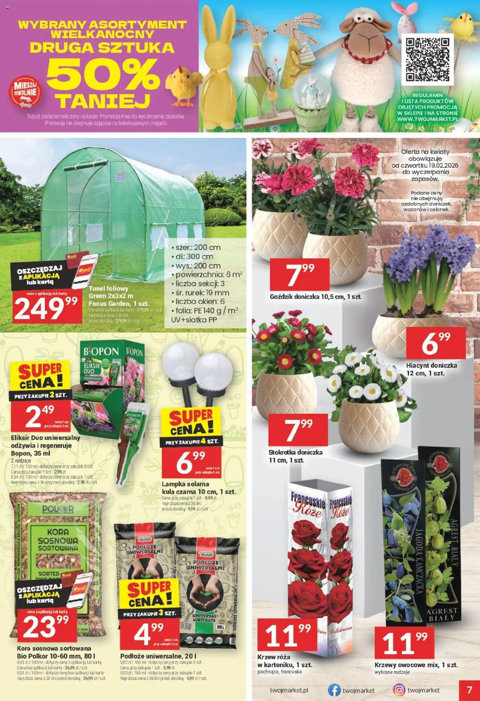 Twój Market gazetka od 18.03.2026 | Strona: 7 | Produkty: Stokrotka, Goździk, Krzewy owocowe, Doniczka