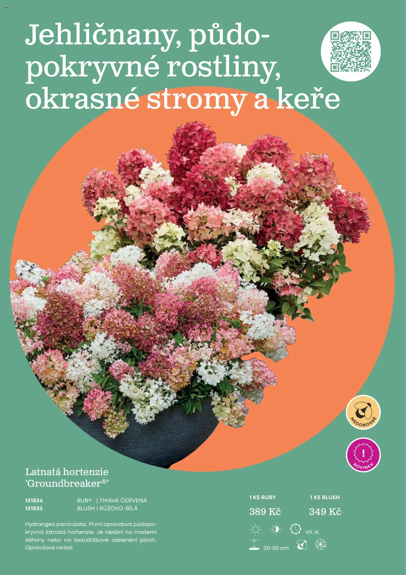 Starkl katalog od 25.02.2026 | Strana: 27