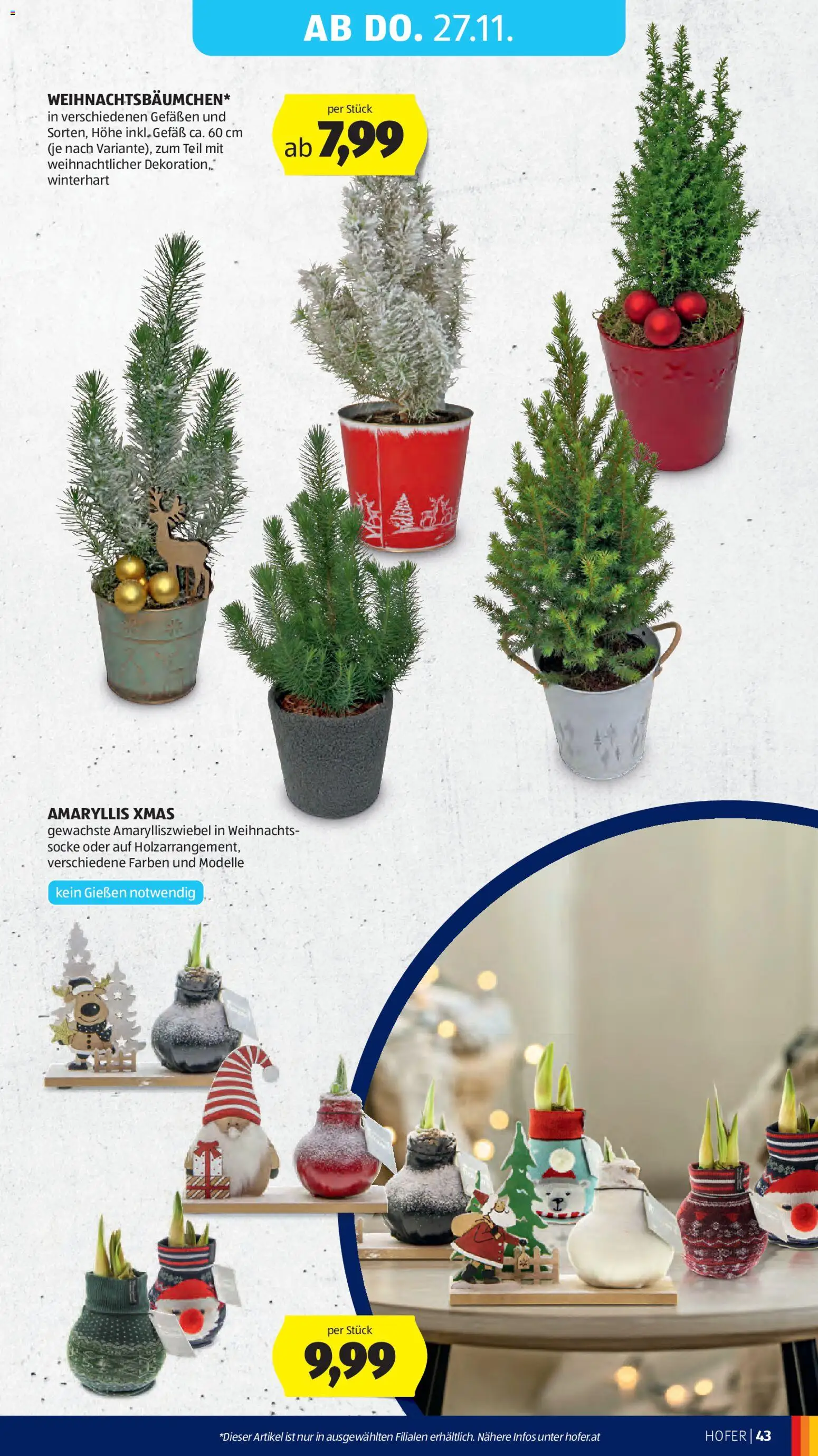 Hofer - Black Friday gültig ab 21.11.2025 | Seite: 57