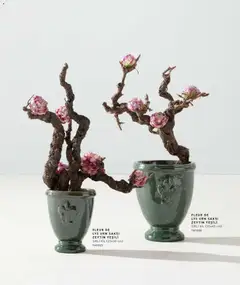 01.01.2026 tarihinden itibaren geçerli olan Mudo kataloğu önizlemesi | Sayfa: 34 | Ürünler: Saksı, Zeytin