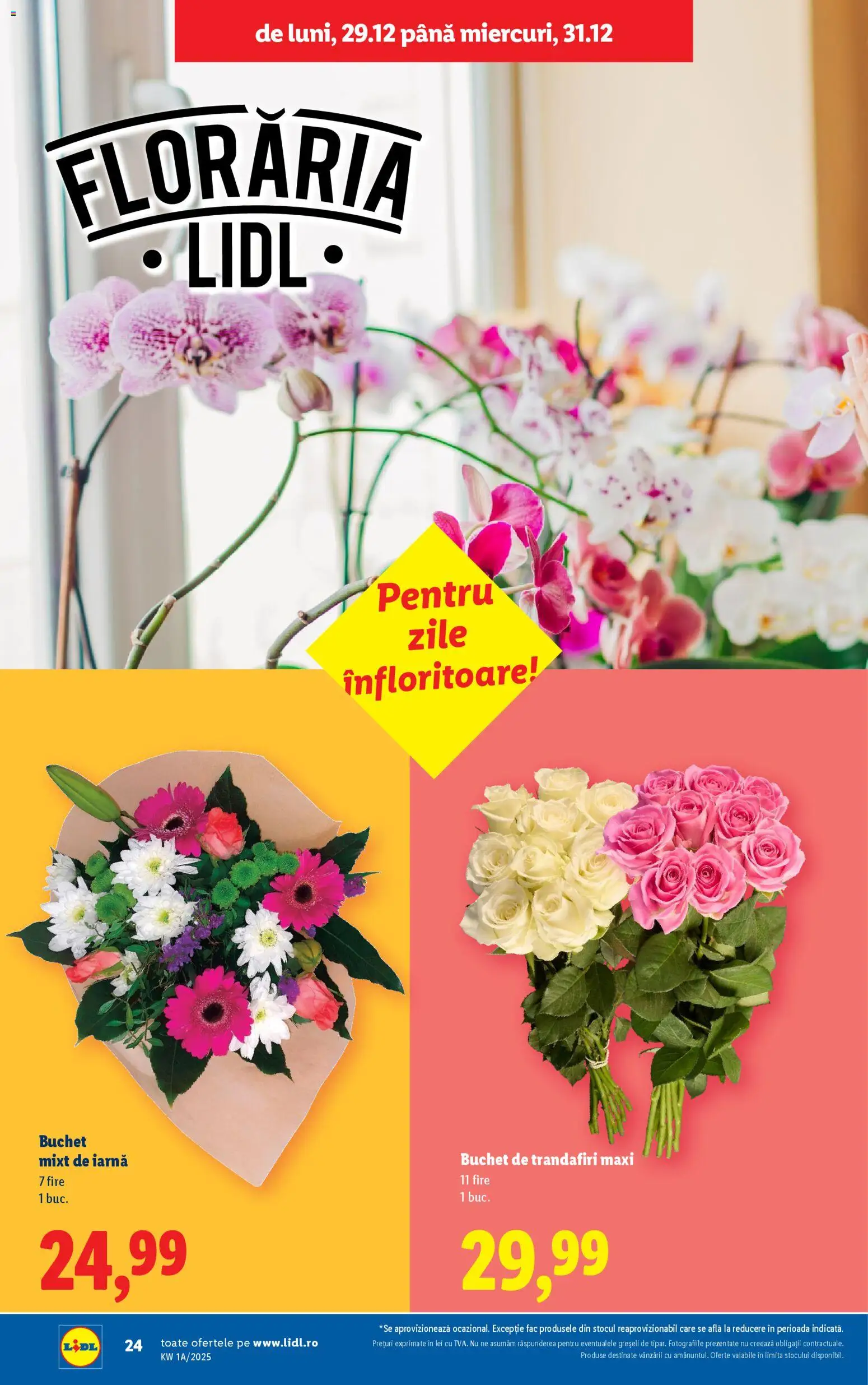 Noul catalog Lidl – valabil de la 27.12.2025 | Pagină: 24