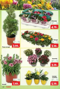 Katalog Plodine - Pregled kataloga iz trgovine Plodine, vrijedi od 01.04.2026 | Stranica: 32