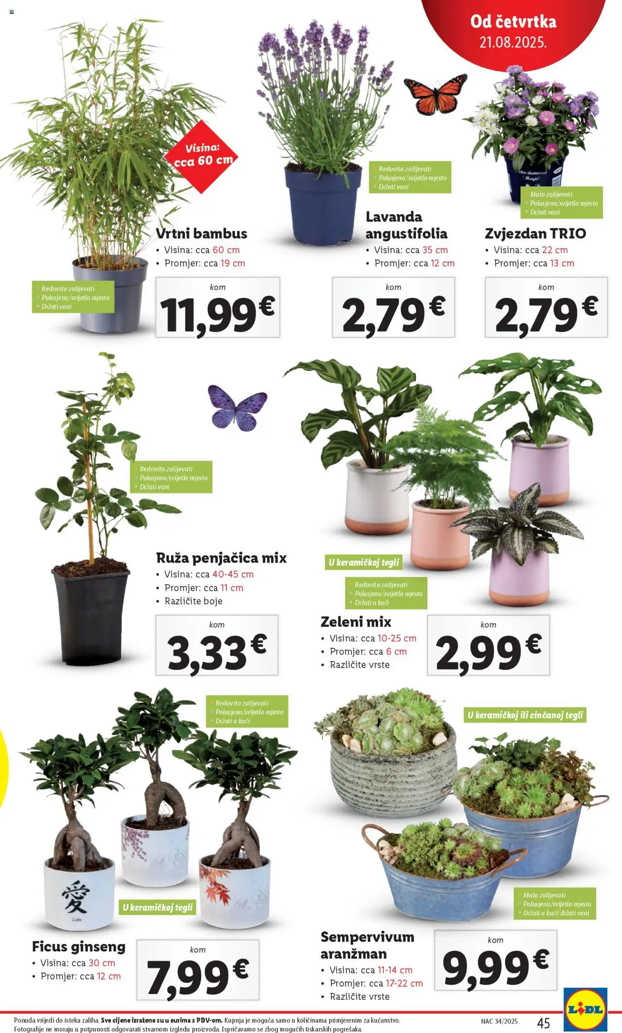 Lidl katalog | vrijedi od 18.08.2025 | Stranica: 45