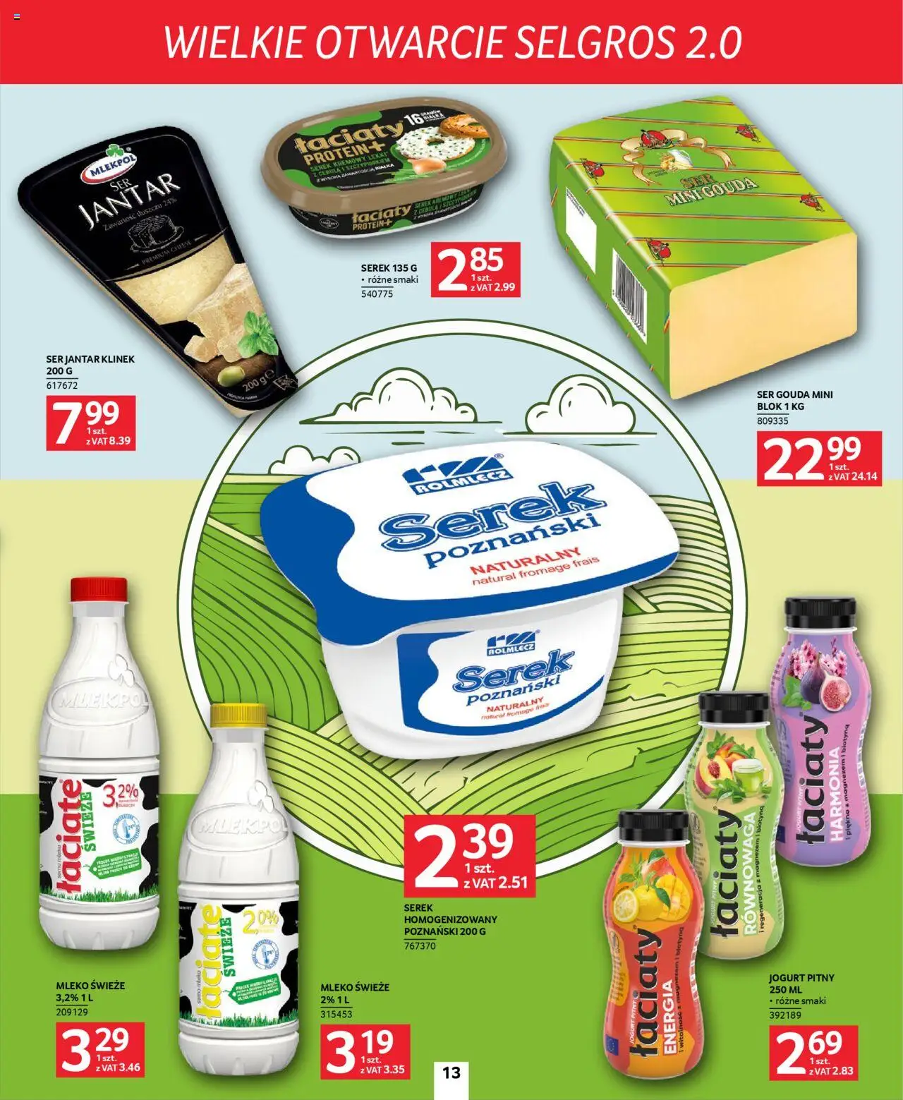 Selgros cash&carry Gazetka - Poznań markowe produkty od 09.10.2025 | Strona: 13 | Produkty: Jogurt pitny, Mleko, Ser, Jogurt