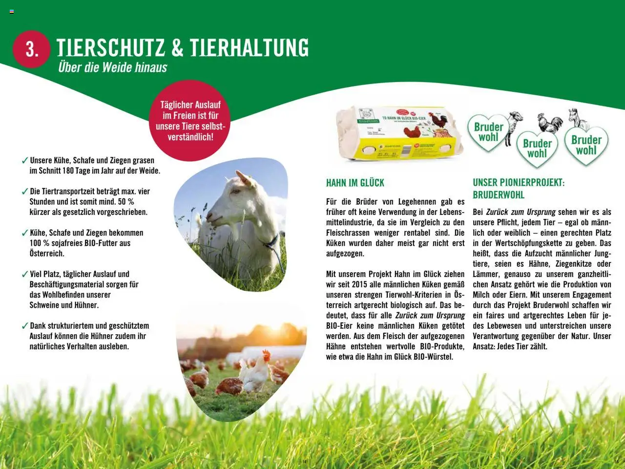 Hofer AT akciós ujság - amely érvényes a következő dátumtól: 23.07.2025 | Oldal: 8