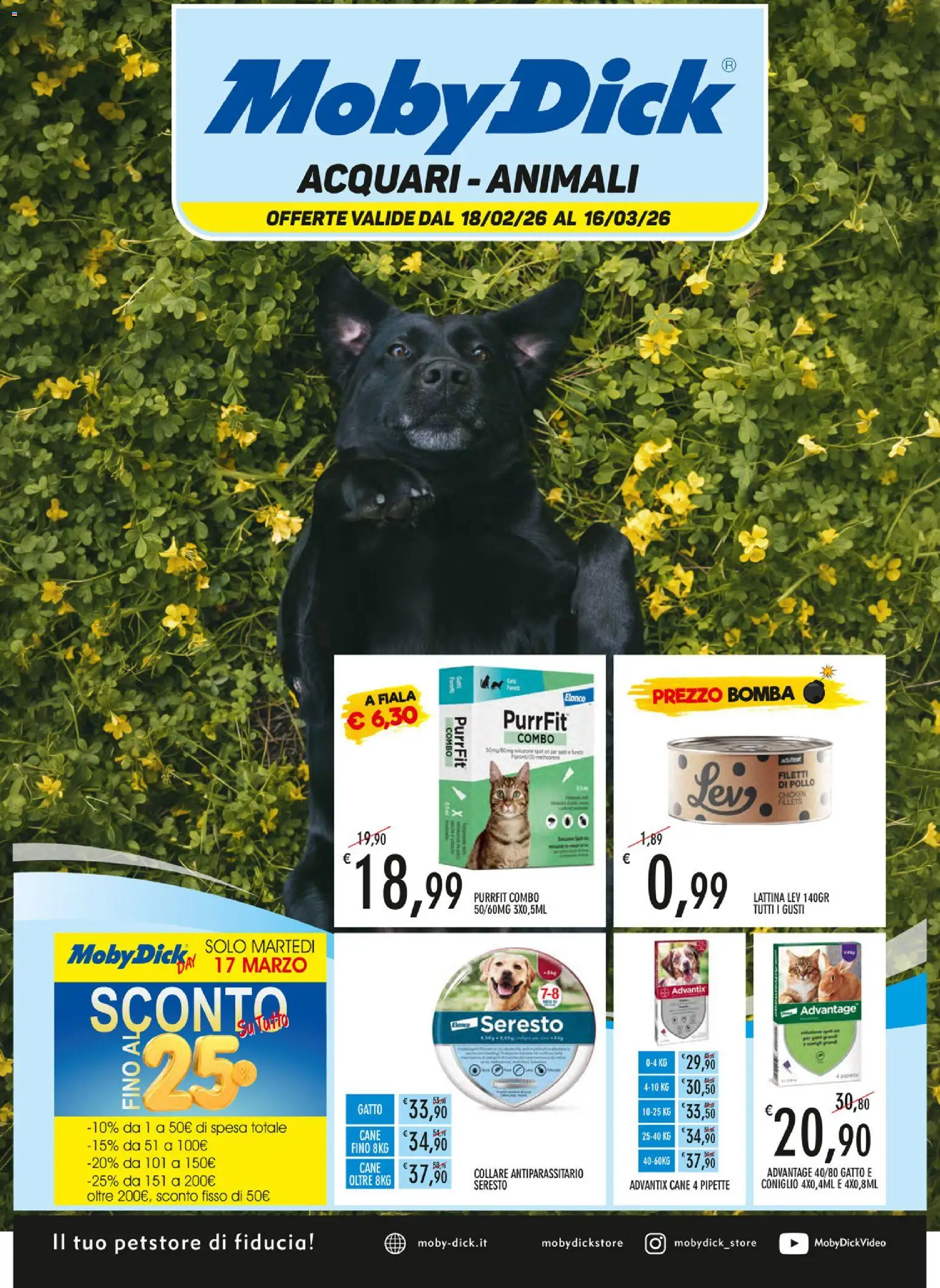 Volantino Moby Dick del 18.02.2026 | Pagina: 1 | Prodotti: Pollo