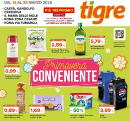 Anteprima del volantino Tigre volantino Castel Gandolfo valido a partire dal 12.03.2026