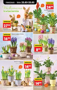 Pogląd oferty "Biedronka gazetka od poniedziałku" - ważna od 23.03.2026 | Strona: 13