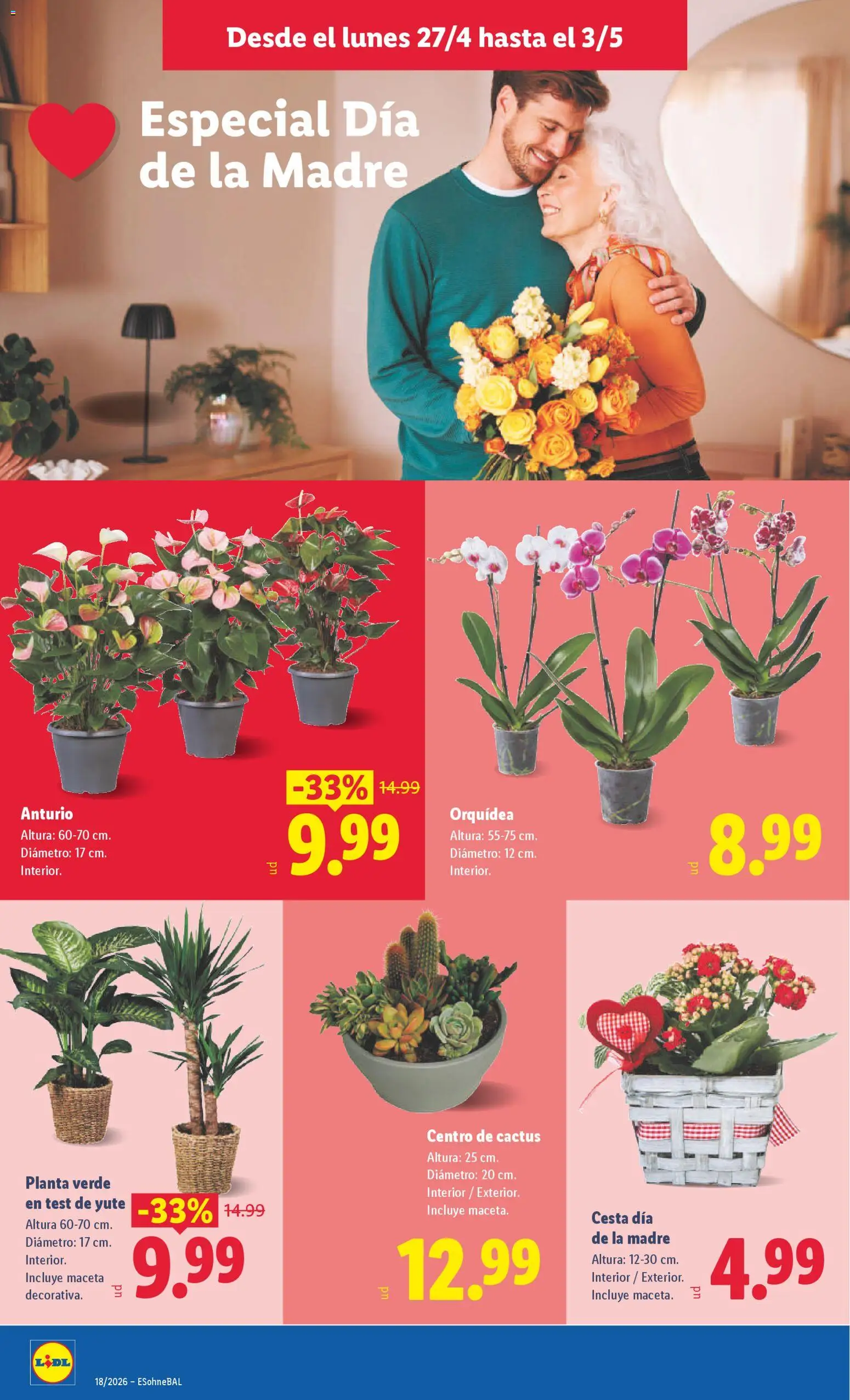 Lidl folleto │ válido desde el 27.04.2026 | Página: 44 | Productos: Cesta, Maceta