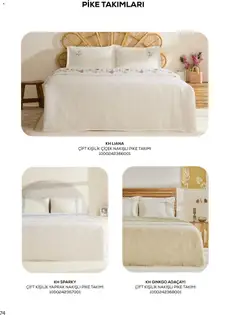 01.03.2026 tarihinden itibaren geçerli olan Karaca Home kataloğu önizlemesi | Sayfa: 74 | Ürünler: Pike