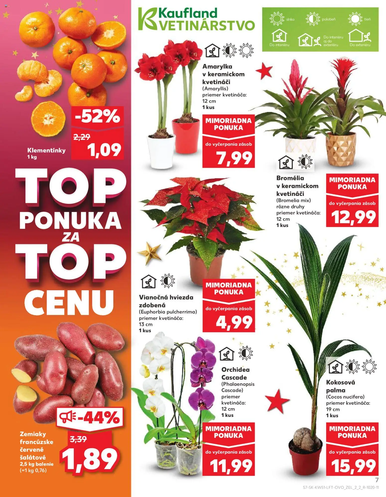 Kaufland SK akciós ujság - amely érvényes a következő dátumtól: 18.12.2025 | Oldal: 7 | Termékek: Orchidea