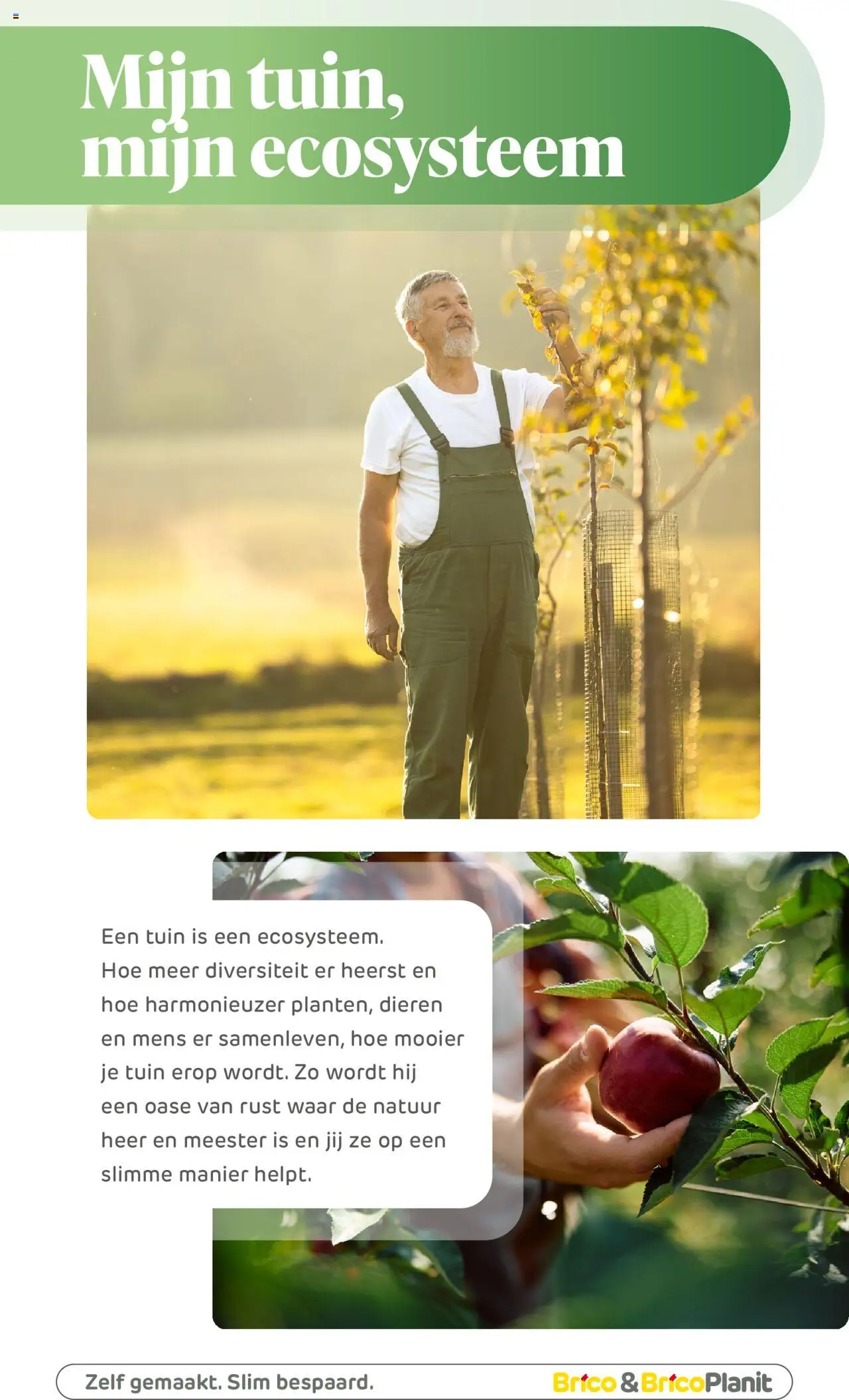  | Pagina: 160