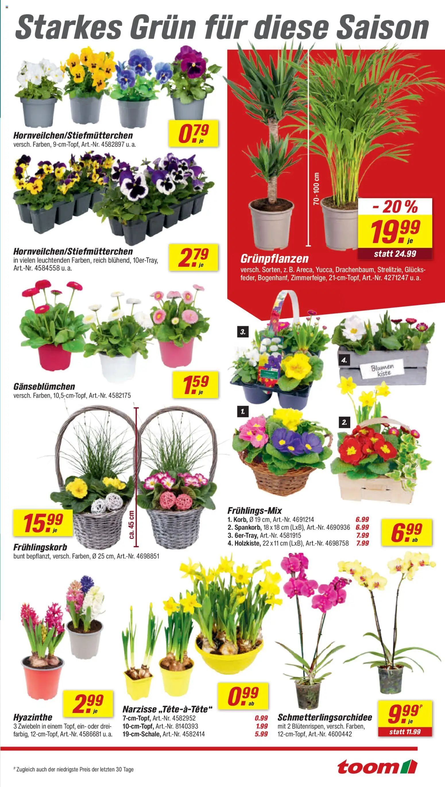 Toom Baumarkt Prospekt 	 – gültig ab 21.02.2026 | Seite: 3 | Produkte: Blumen, Zwiebeln