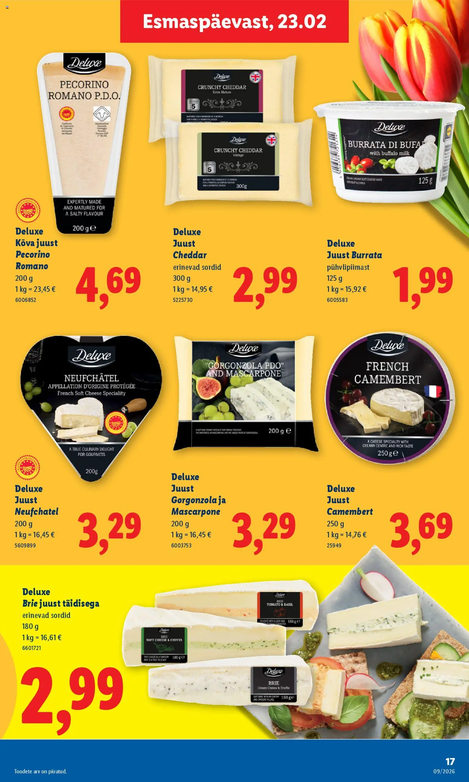 {H1} | Lehekülg: 17