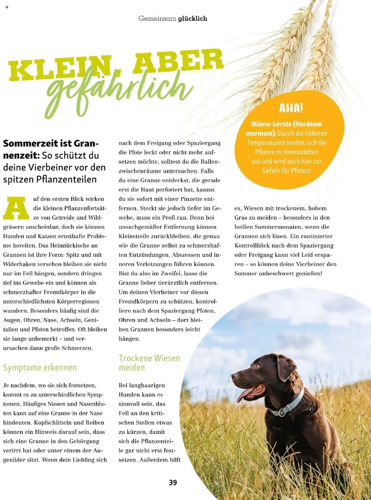 Fressnapf Friends 04/25 gültig ab 01.07.2025 | Seite: 39 | Produkte: Getreide