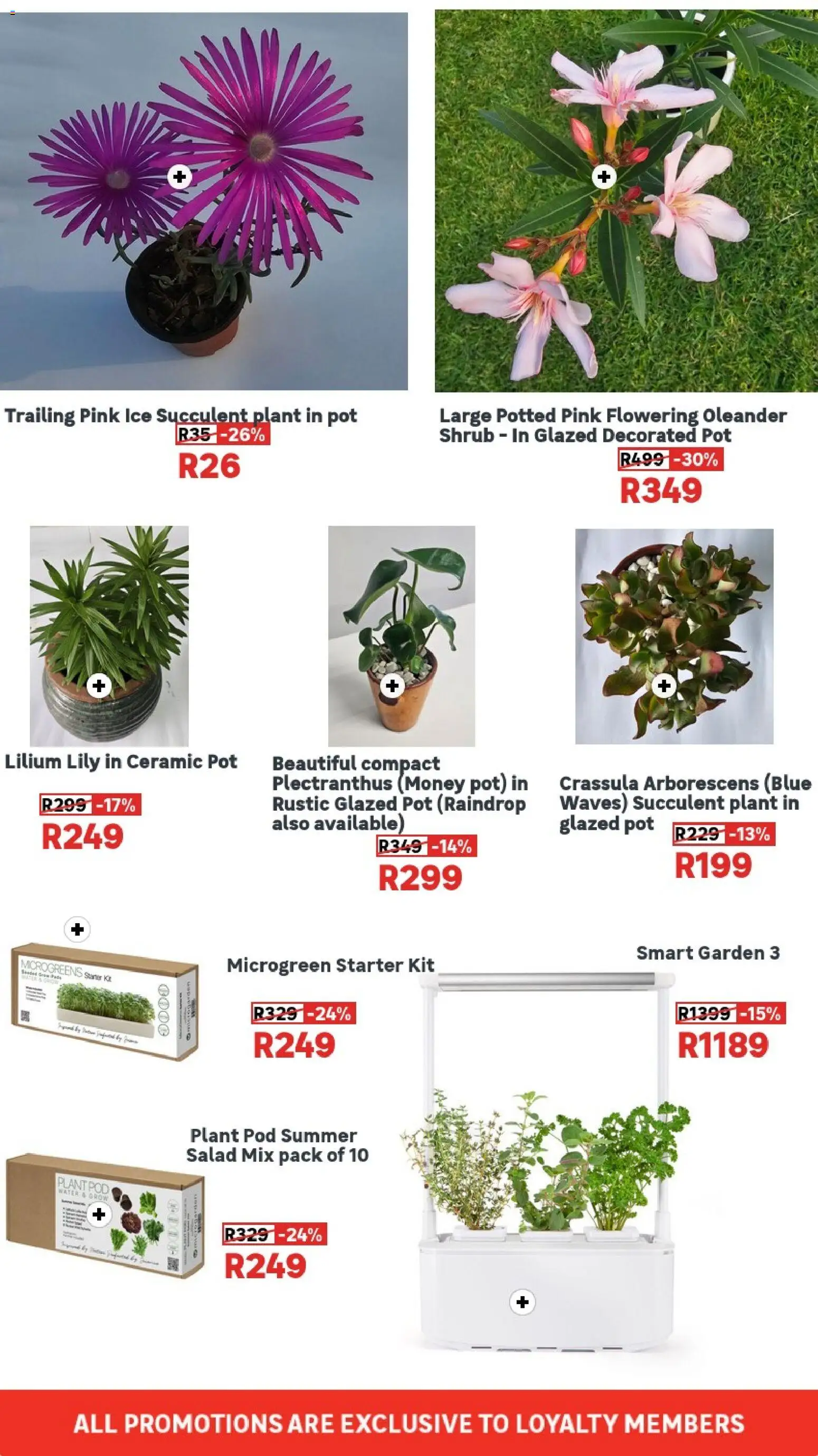 New Leroy Merlin catalogue – valid from 08.04.2026 | Page: 3 | Products: Salad, Water