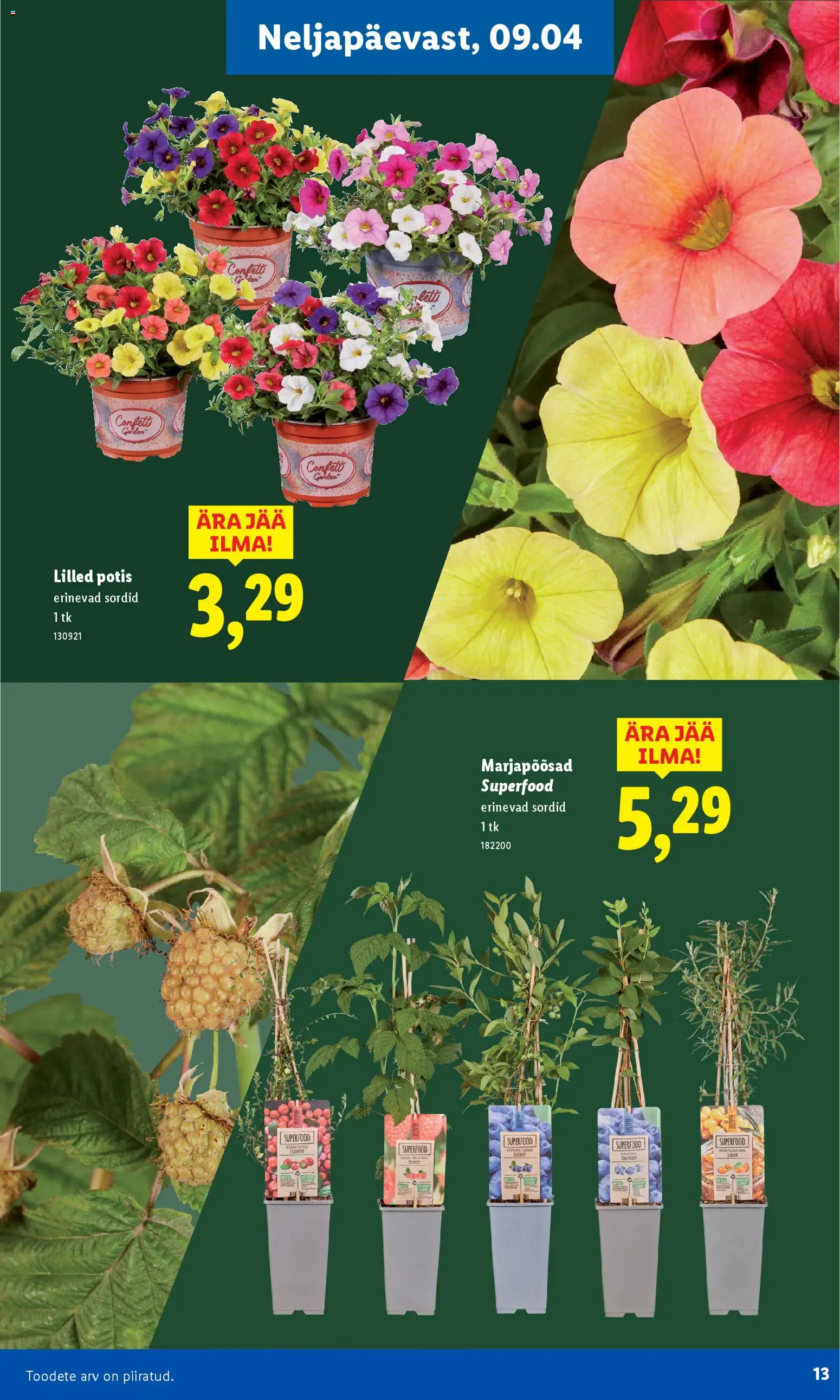 {H1} | Lehekülg: 13