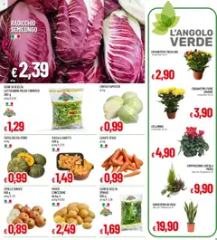 Anteprima del volantino Famila Iper catalogo valido a partire dal 20.10.2025 | Pagina: 5 | Prodotti: Cavolo, Zucca, Capuccio, Vaso