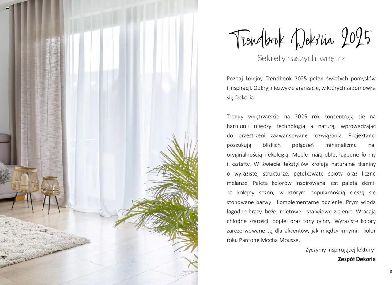 Dekoria Gazetka od 31.01.2025 | Strona: 3
