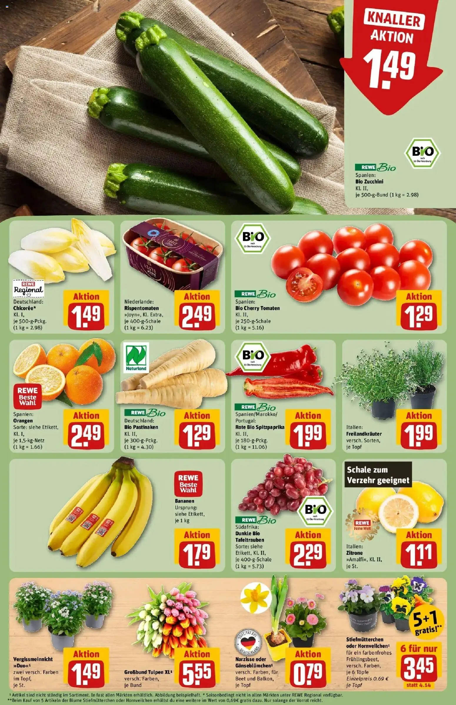 Rewe Prospekt Ettlingen	 – gültig ab 15.03.2026 | Seite: 9 | Produkte: Stiefmutterchen, Bananen, Zitrone, Zucchini