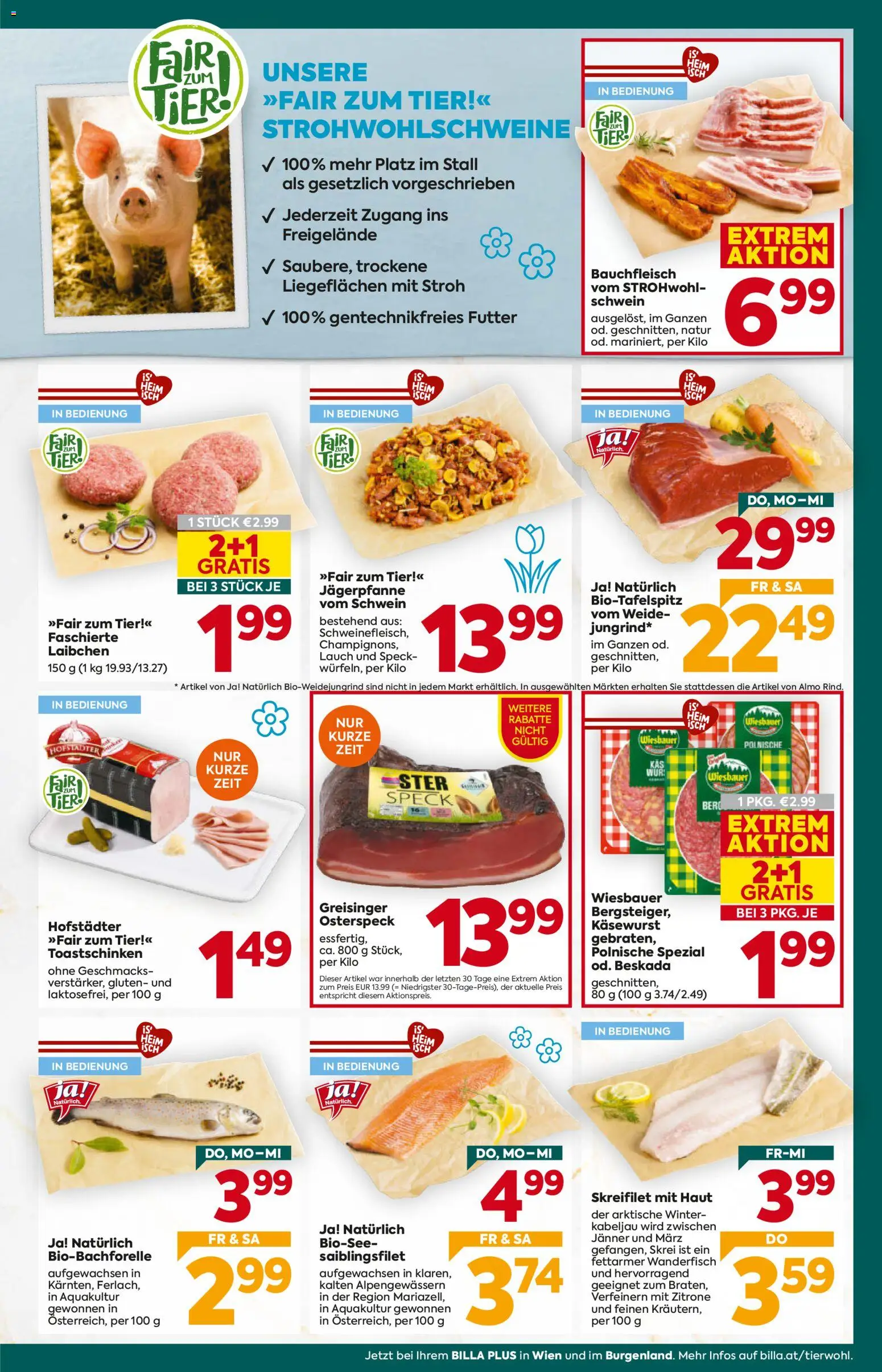 Billa Plus Flugblatt gültig ab 26.02.2026 | Seite: 9 | Produkte: Zitrone