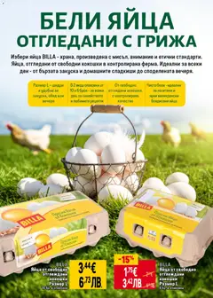 Преглед на BILLA Яйца от свободно отглеждани кокошки Размер L 10 бр. в опаковка, Яйца от свободно отглеждани кокошки, размер L, 10 броя в опаковка - Офертите са валидни от 05.03.2026 | Страница: 22