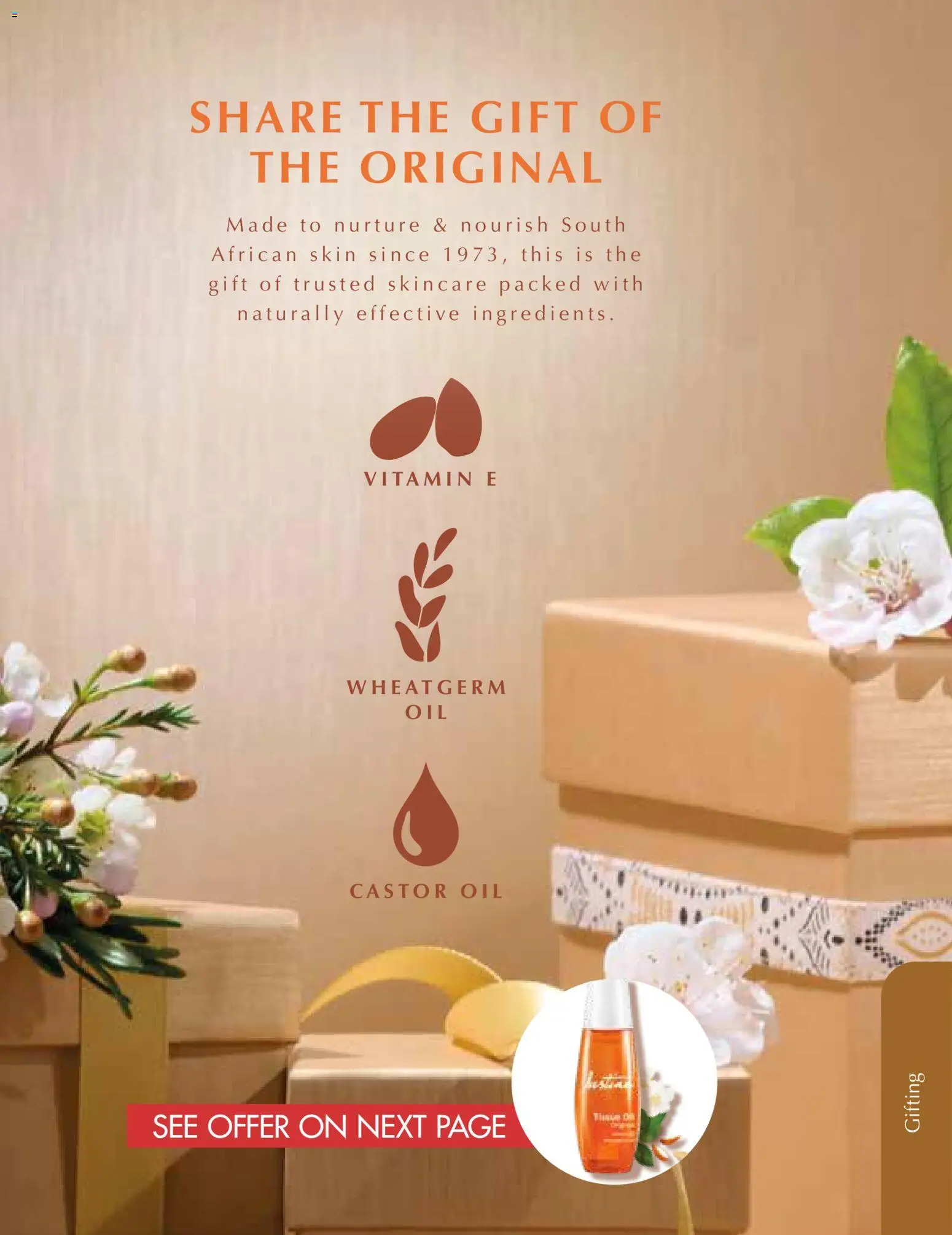 New Justine catalogue – valid from 01.12.2025 | Page: 13