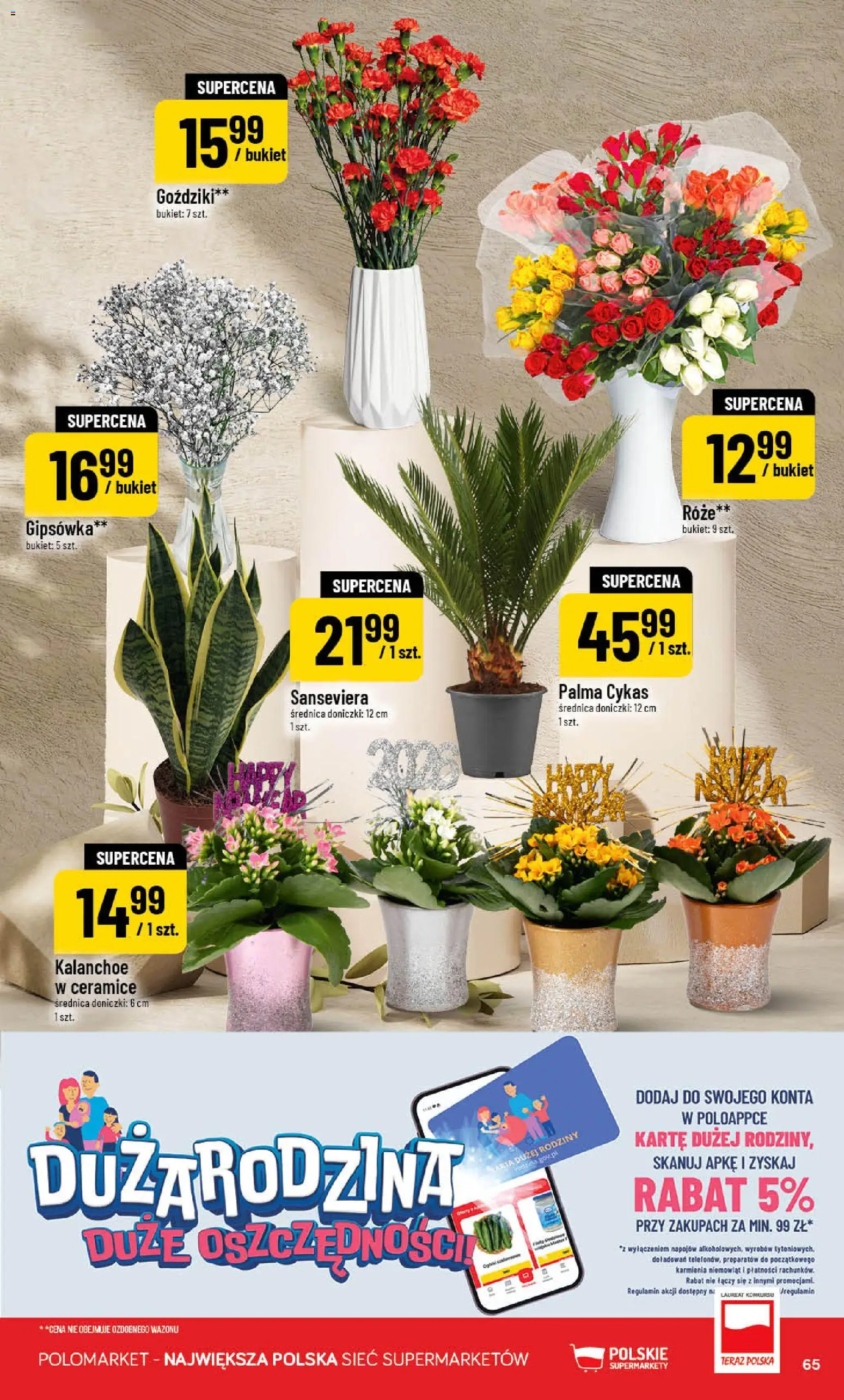 POLOmarket Gazetka od 27.12.2025 | Strona: 65 | Produkty: Karta, Goździki, Doniczki, Kalanchoe