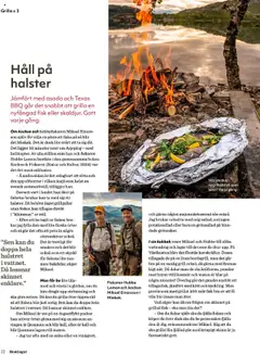 Hemköp reklamblad aktuell från 01.09.2025 | Sida: 22 | Produkter: Grill, Potatissallad, Salsa, Häll