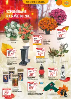 Náhled letáku Globus leták - Ostrava od 08.10.2025 | Strana: 2 | Produkty: Zápich, Tyčinky, Lampa, Dekorace