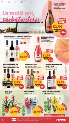 Noul catalog PENNY – valabil de la 03.09.2025 | Pagină: 3