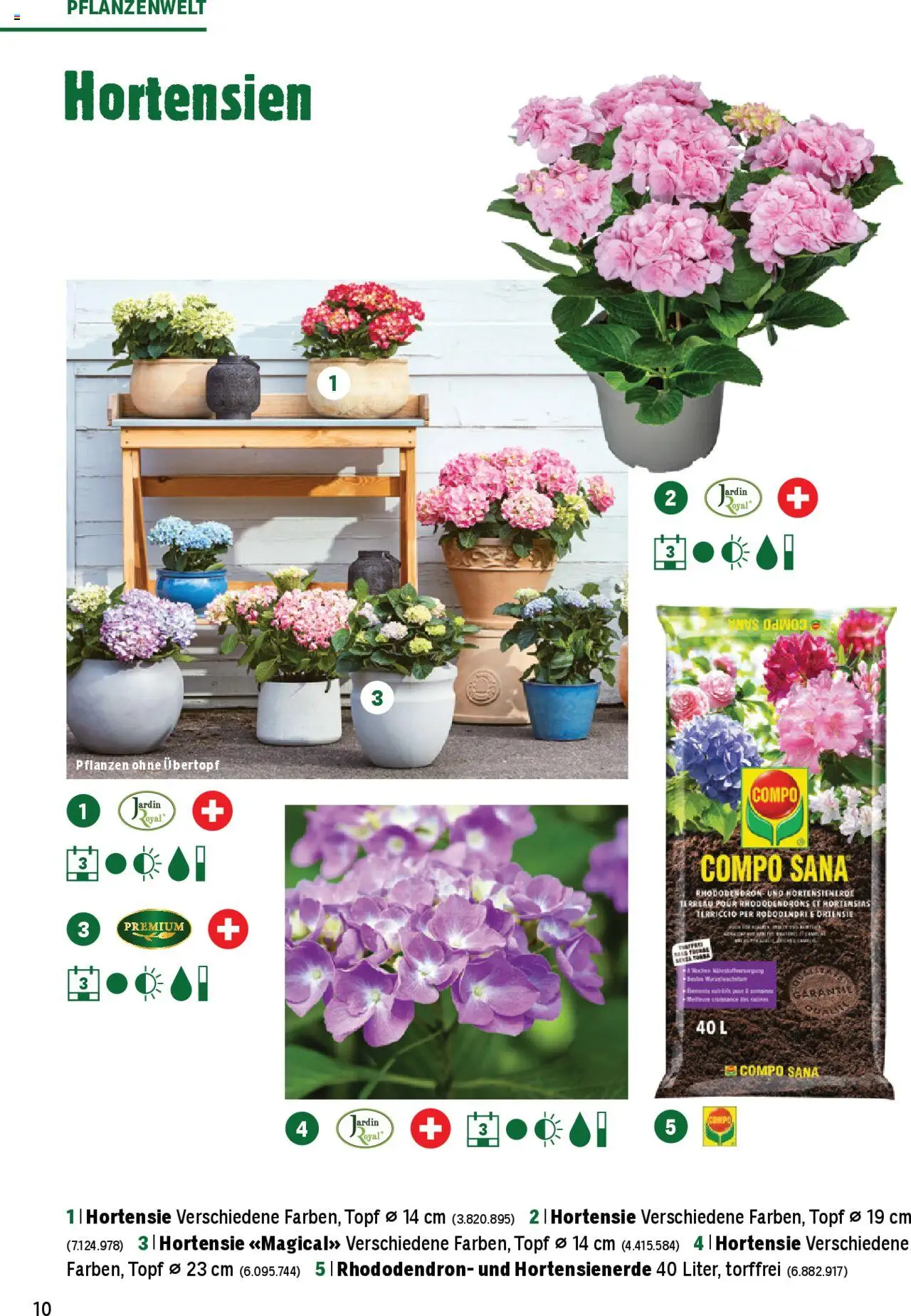 Jumbo Aktionen Dein Garten 2025 ab 21.02.2025 | Seite: 10