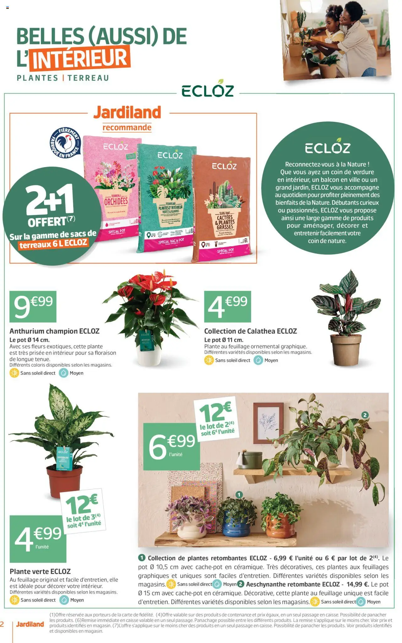  | Page: 2