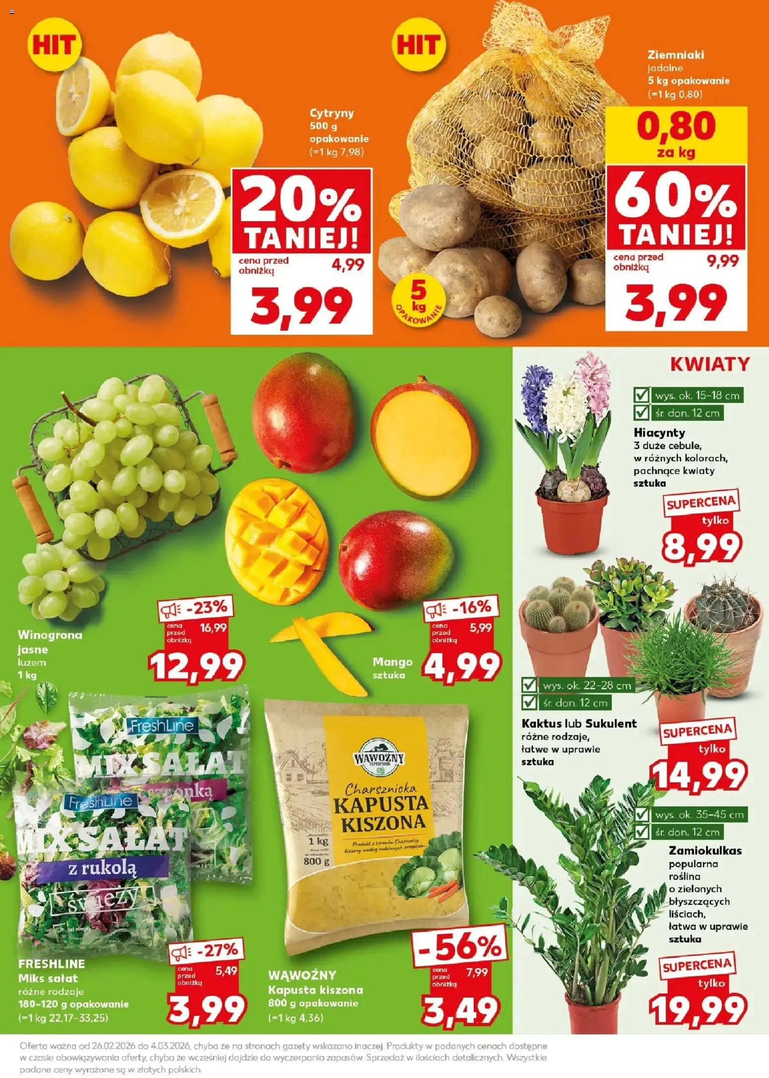 Kaufland gazetka - Mocny start od 02.03.2026 | Strona: 9 | Produkty: Kapusta, Zamiokulkas, Kwiaty, Ziemniaki