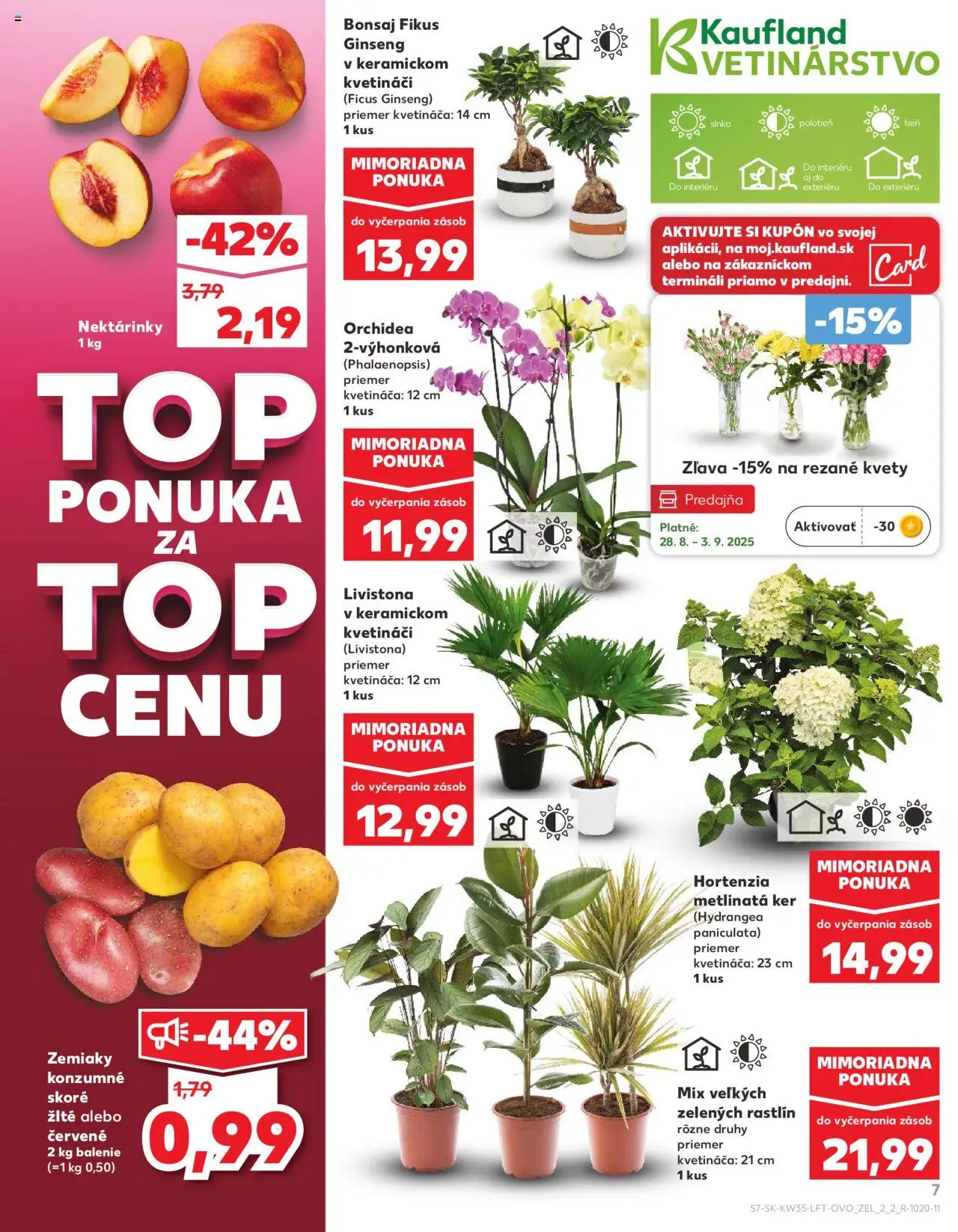 Kaufland SK akciós ujság - amely érvényes a következő dátumtól: 28.08.2025 | Oldal: 7 | Termékek: Orchidea, Hortenzia