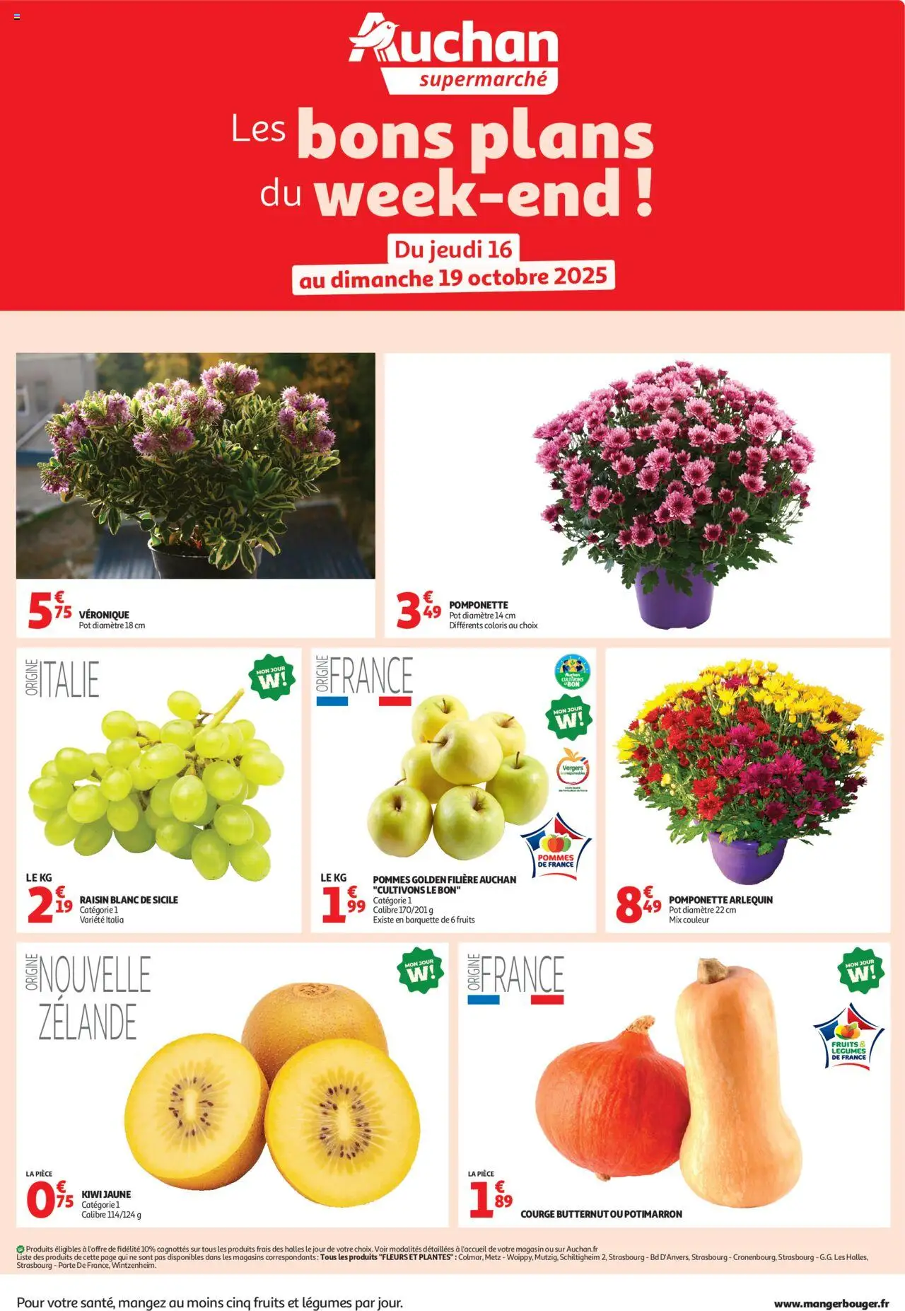 {H1} | Page: 1 | Produits: Raisin, Courge, Fleurs et plantes, Butternut