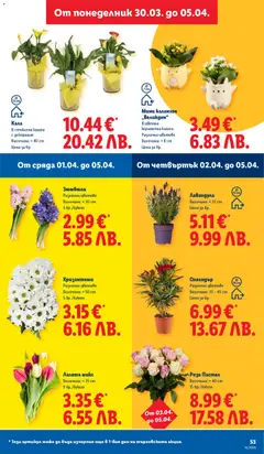 Преглед на Лидл Cедмична брошура - Офертите са валидни от 30.03.2026 | Страница: 53