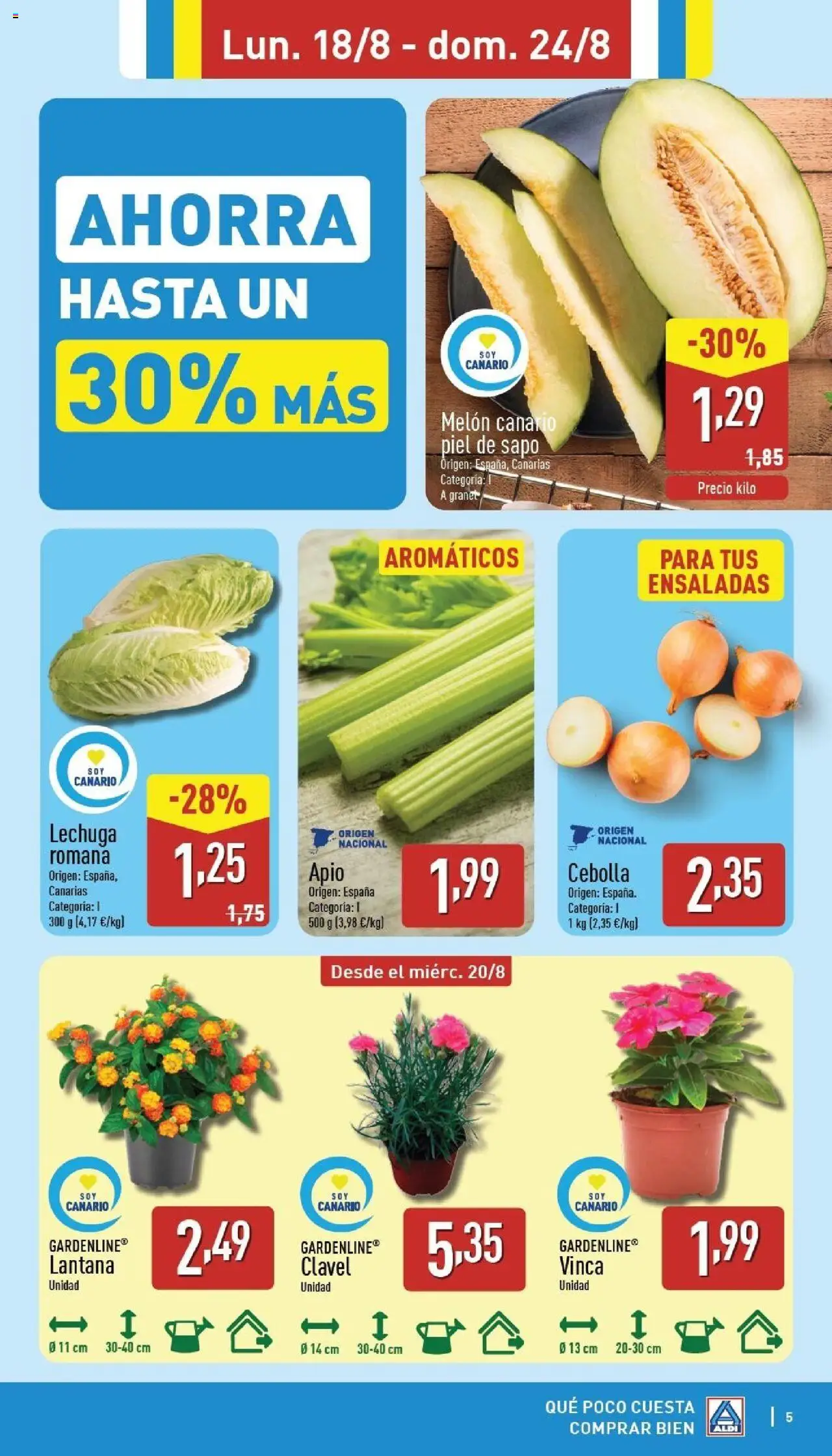 Aldi folleto Canarias │ válido desde el 18.08.2025 | Página: 5 | Productos: Φορτιστής, Μαξιλάρι λαιμού, Παγωμένο τσάι