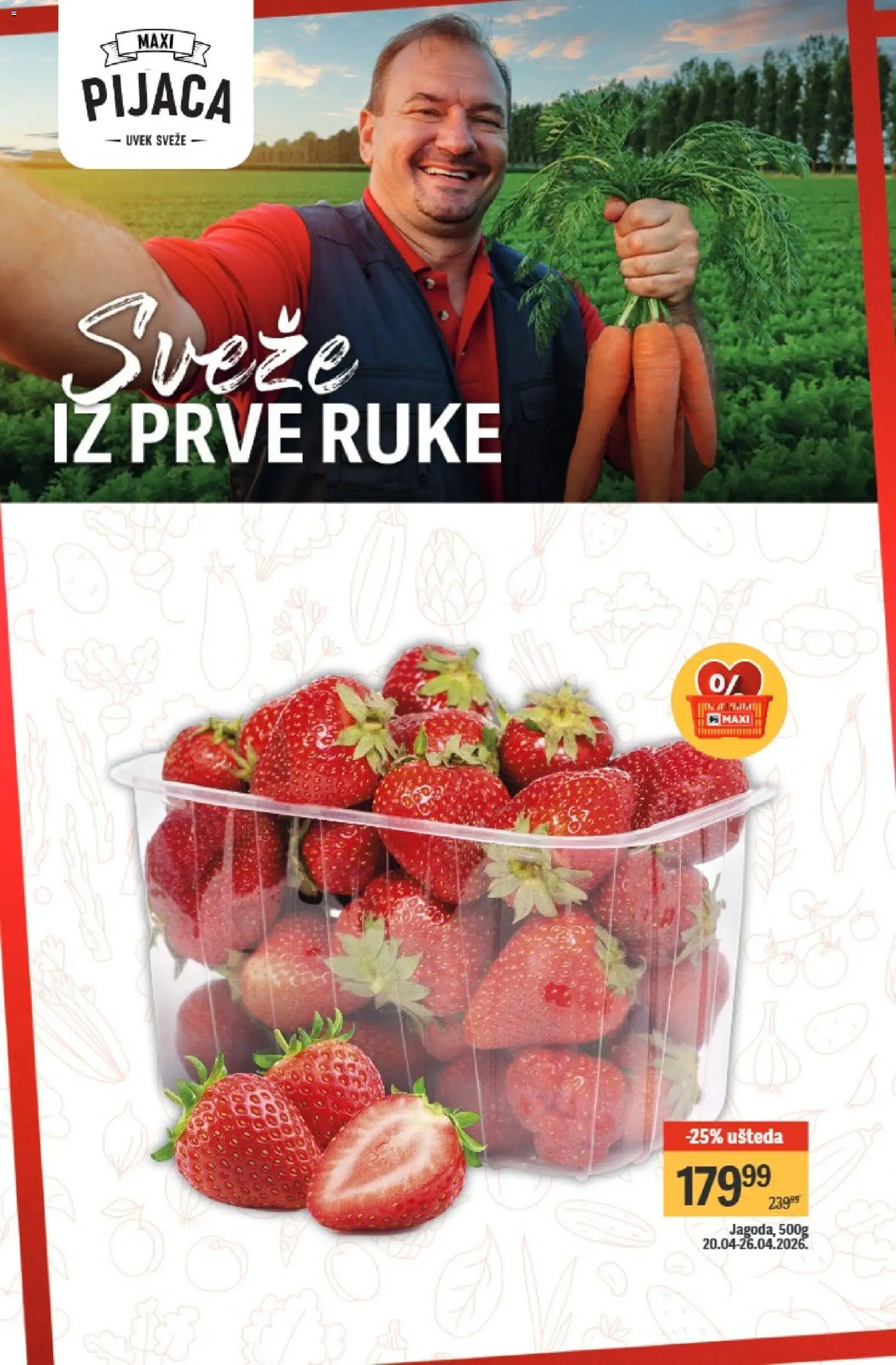 Maxi katalog - važi od 20.04.2026 | Strana: 8