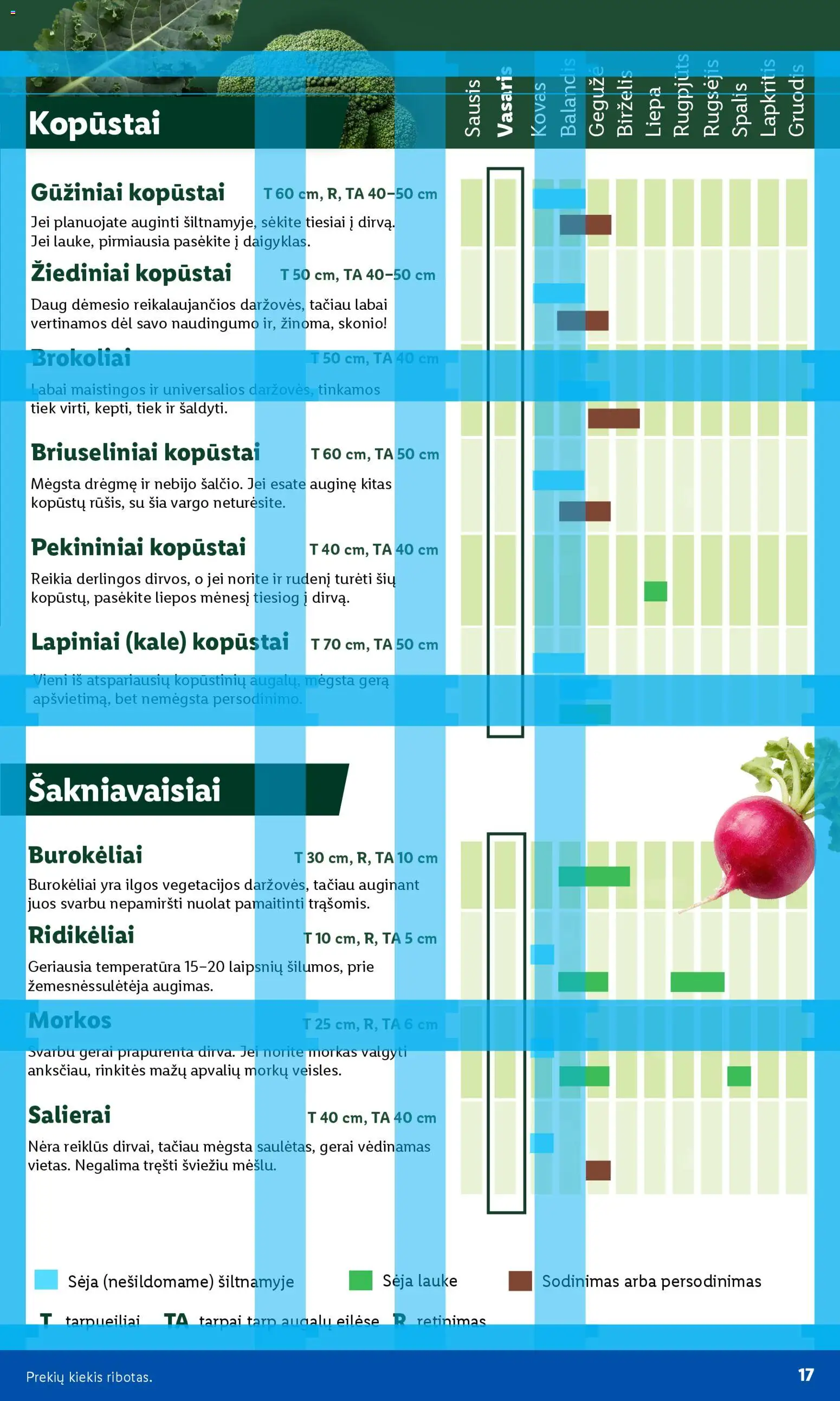 LIDL akcijos nuo 16.02.2026 | Puslapis: 5 | Prekių: Morkos
