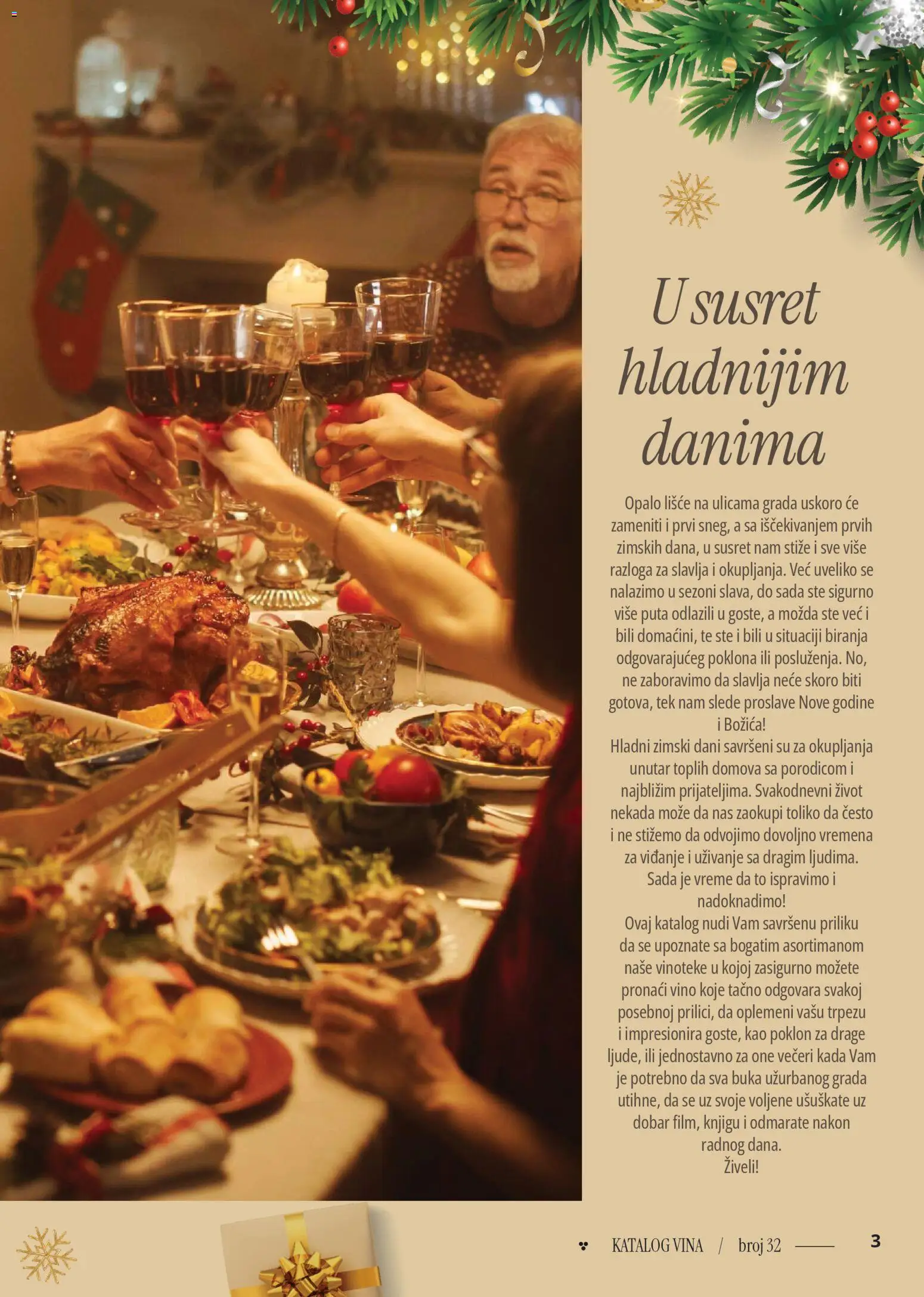 Idea katalog - važi od 18.12.2025 | Strana: 3 | Proizvode: Vino