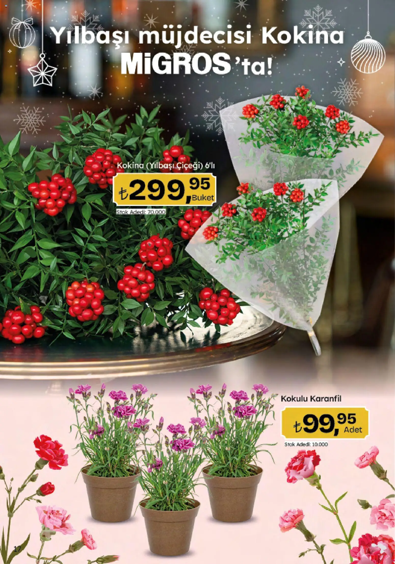 Migros Katalog - 5M Migroskop Dijital - 05.12.2025 tarihinden itibaren geçerlidir | Sayfa: 17 | Ürünler: Karanfil