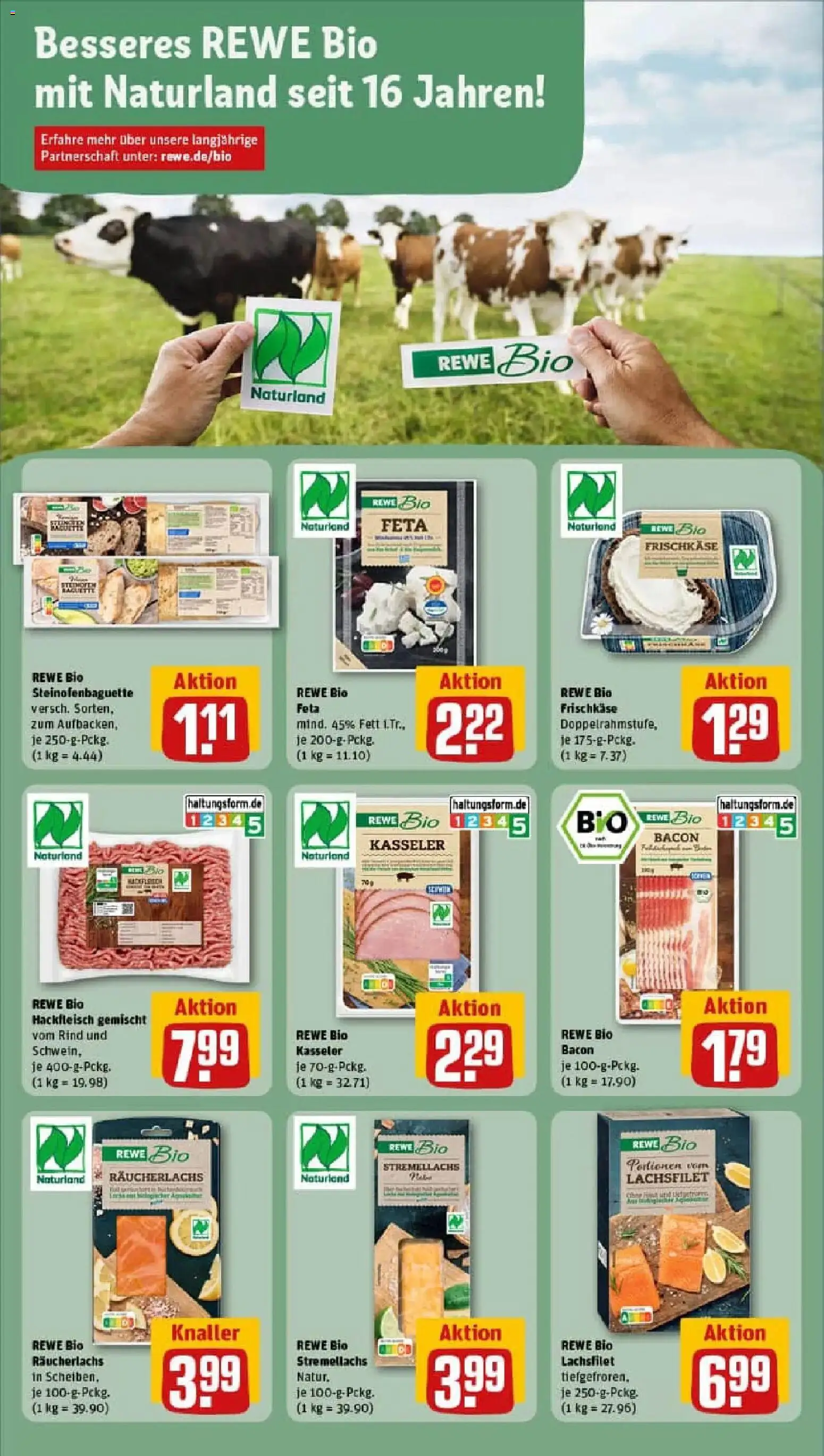 Rewe prospekt Bad Pyrmont	 – gültig ab 10.11.2025 | Seite: 19 | Produkte: Feta, Baguette, Räucherlachs, Hackfleisch