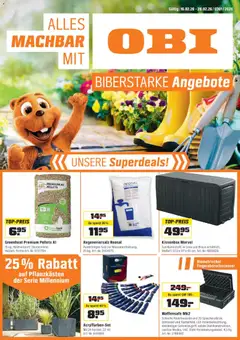 OBI Aktionen ab 16.02.2026 gültig