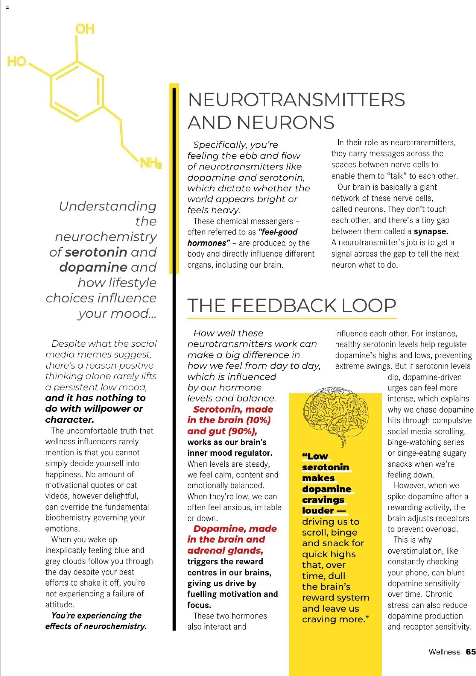New Dis-Chem catalogue – valid from 26.11.2025 | Page: 67 | Products: Snacks