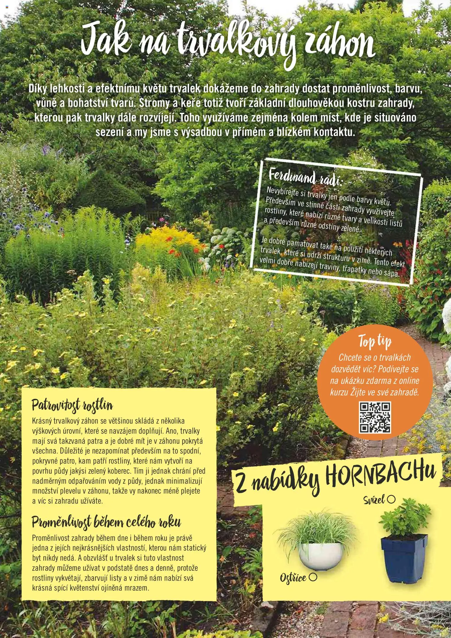 HORNBACH leták - Žijte ve své zahradě od 01.01.2026 | Strana: 6 | Produkty: Rostliny, Barvy