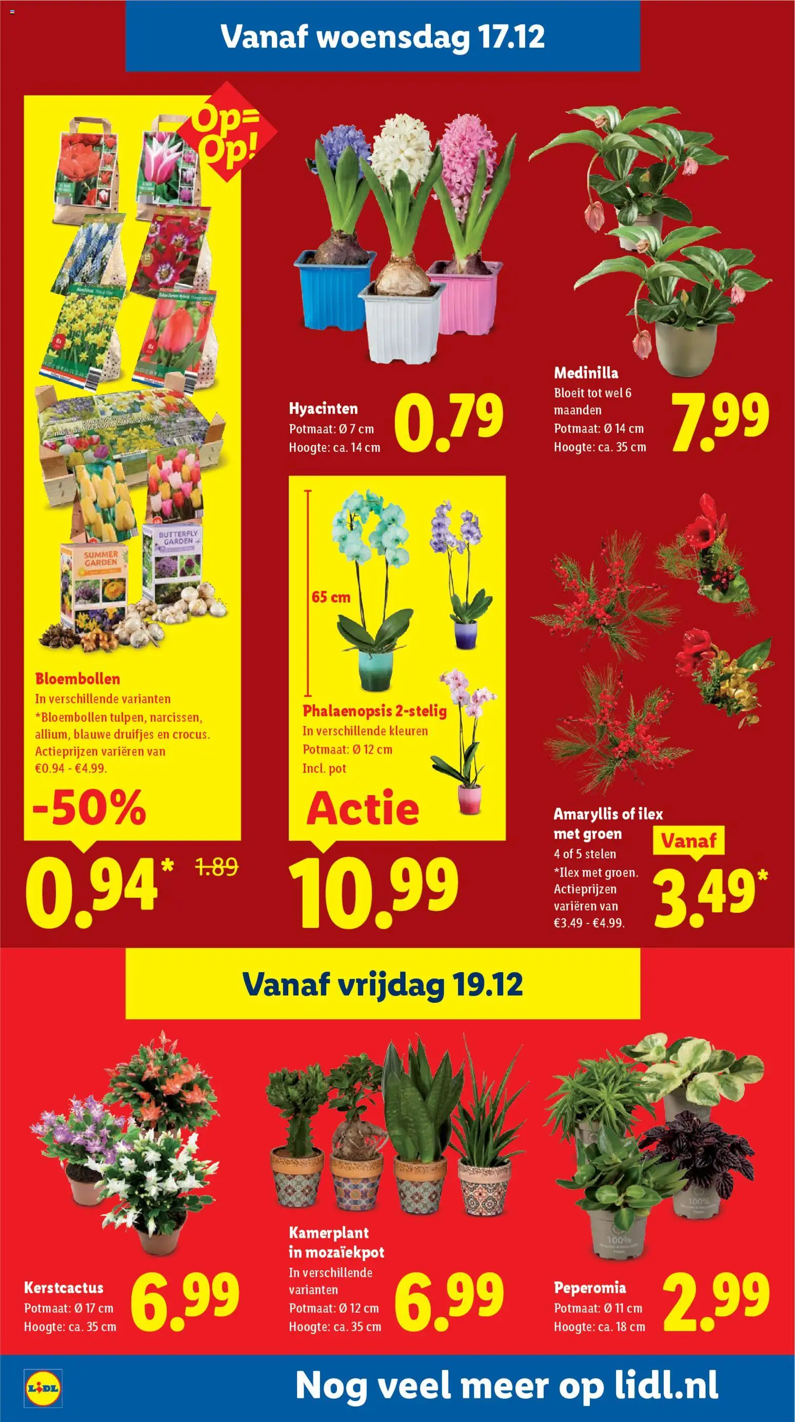 {H1} | Pagina: 24 | Producten: Pot