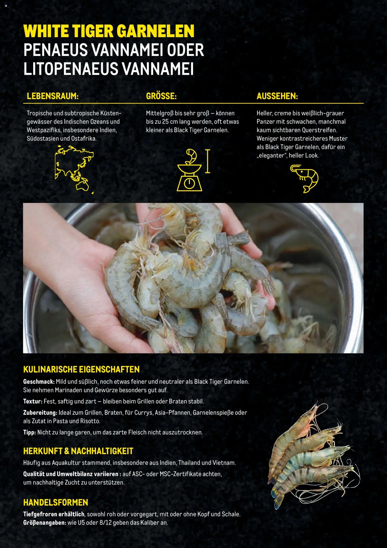 Metro Garnelen Folder gültig ab 27.11.2025 | Seite: 10 | Produkte: Pasta, Gewürze, Creme