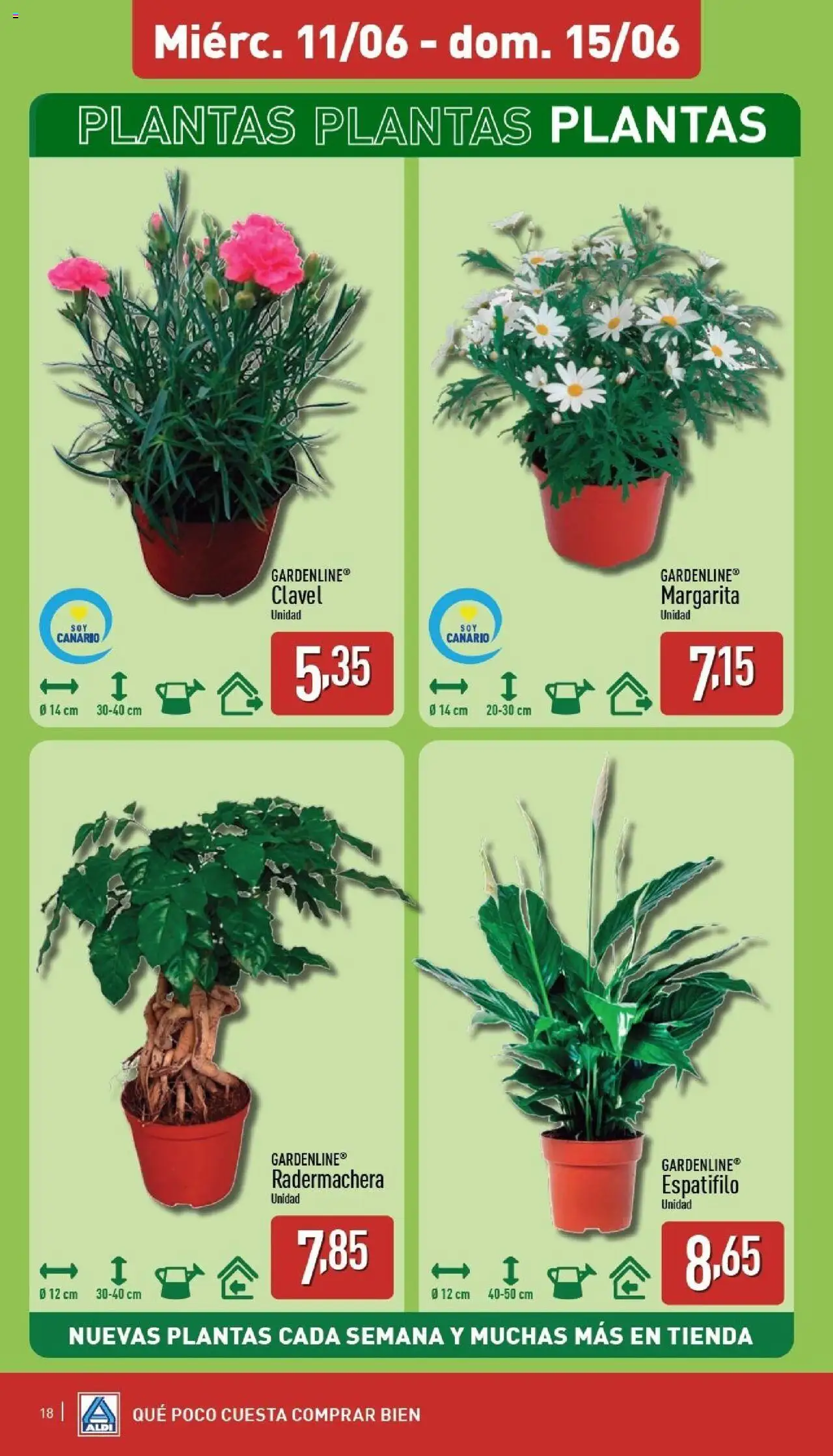 Aldi folleto Canarias │ válido desde el 09.06.2025 | Página: 18