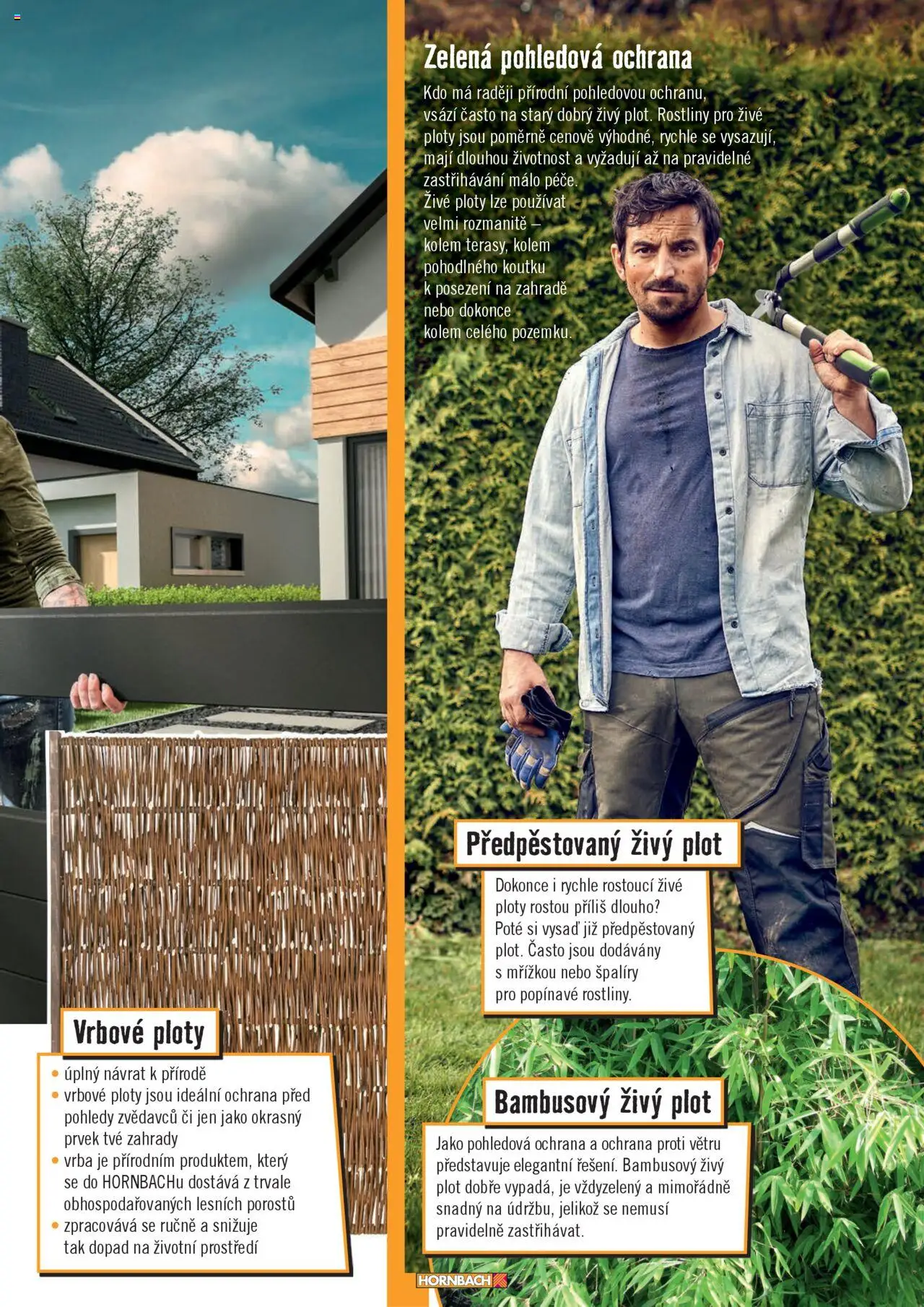 HORNBACH leták - Terasa od 13.08.2025 | Strana: 45 | Produkty: Rostliny